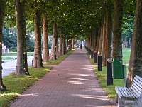 dscf1658.jpg